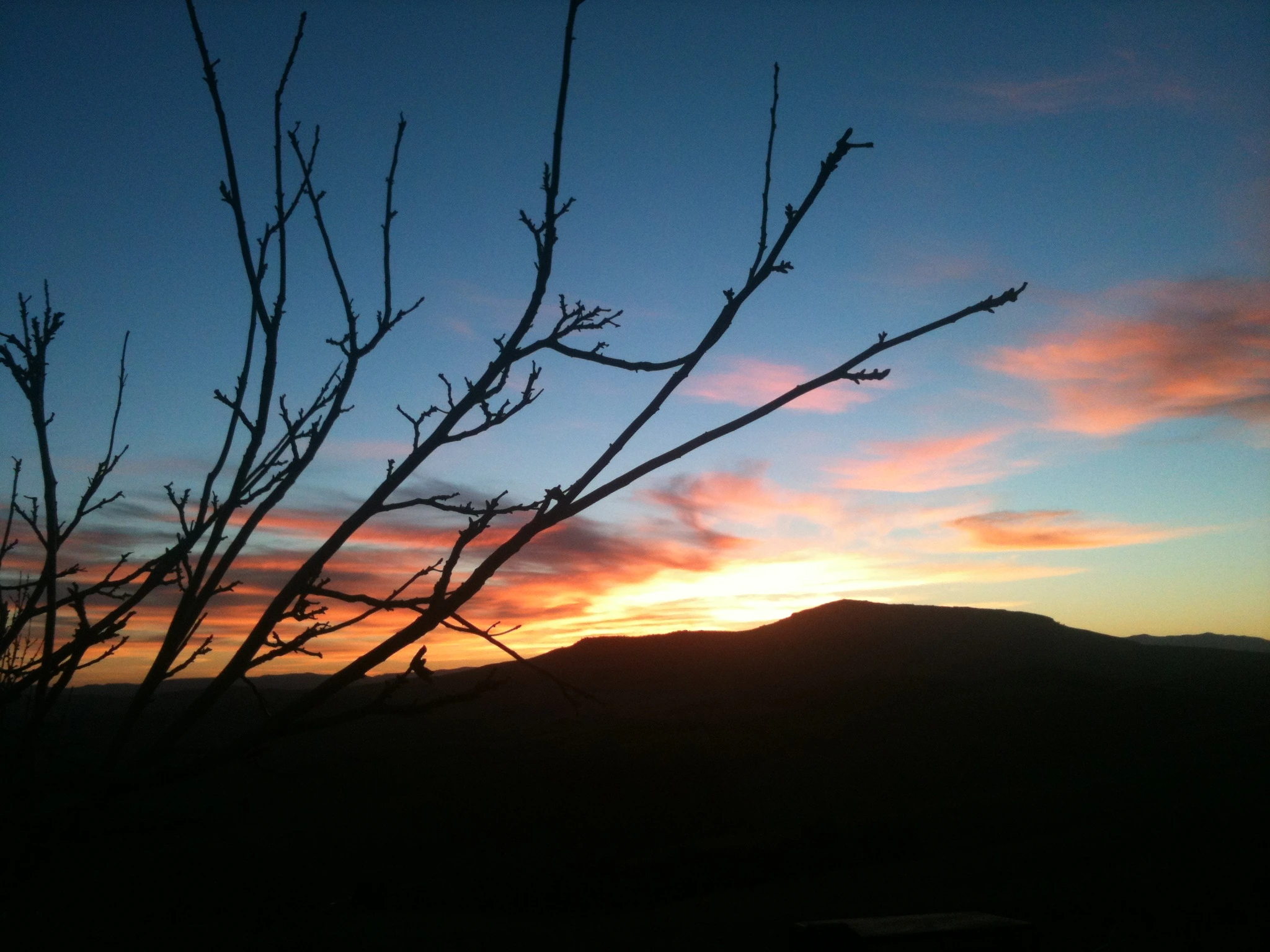 Atardecer en la finca, con las ramas de un árbol en primer plano